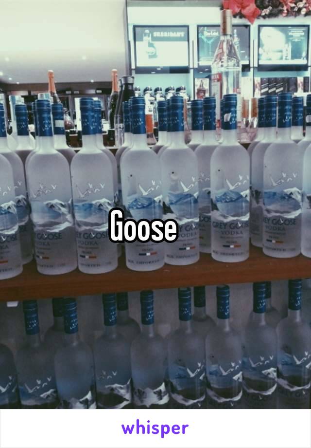 Goose 🪿