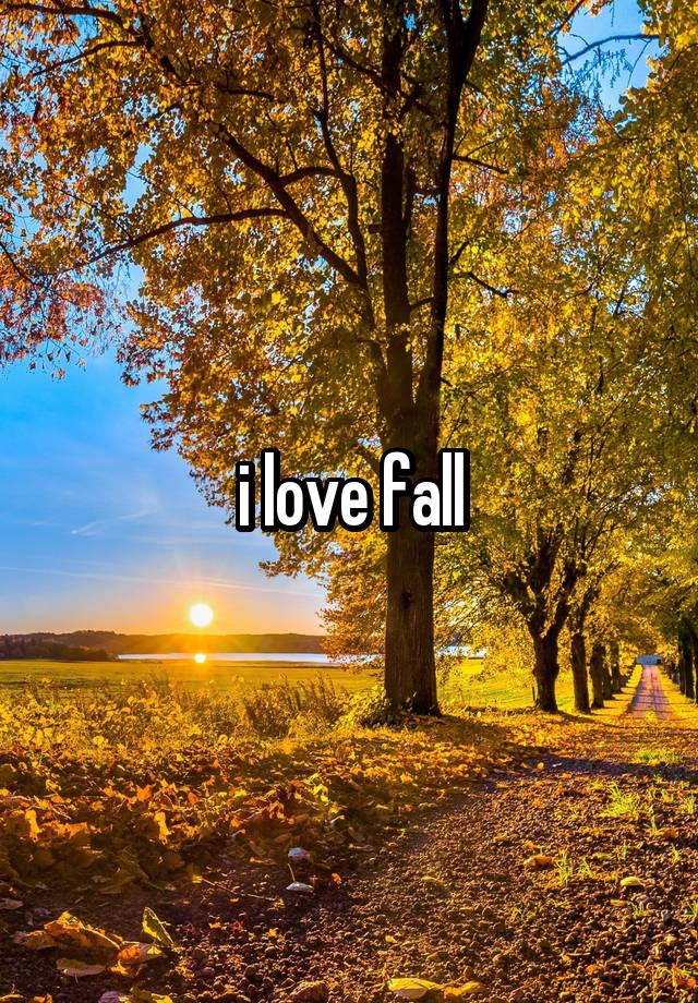 i love fall