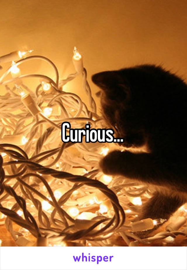 Curious…