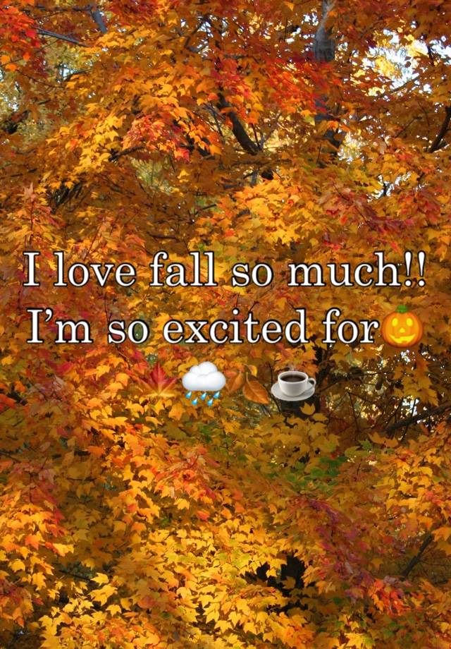 I love fall so much!! I’m so excited for🎃🍁🌧️🍂☕️