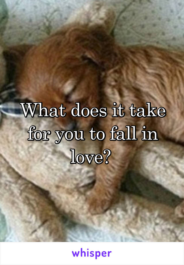 What does it take for you to fall in love? 