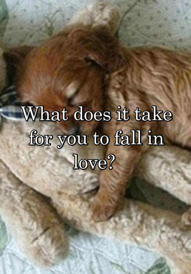 What does it take for you to fall in love? 