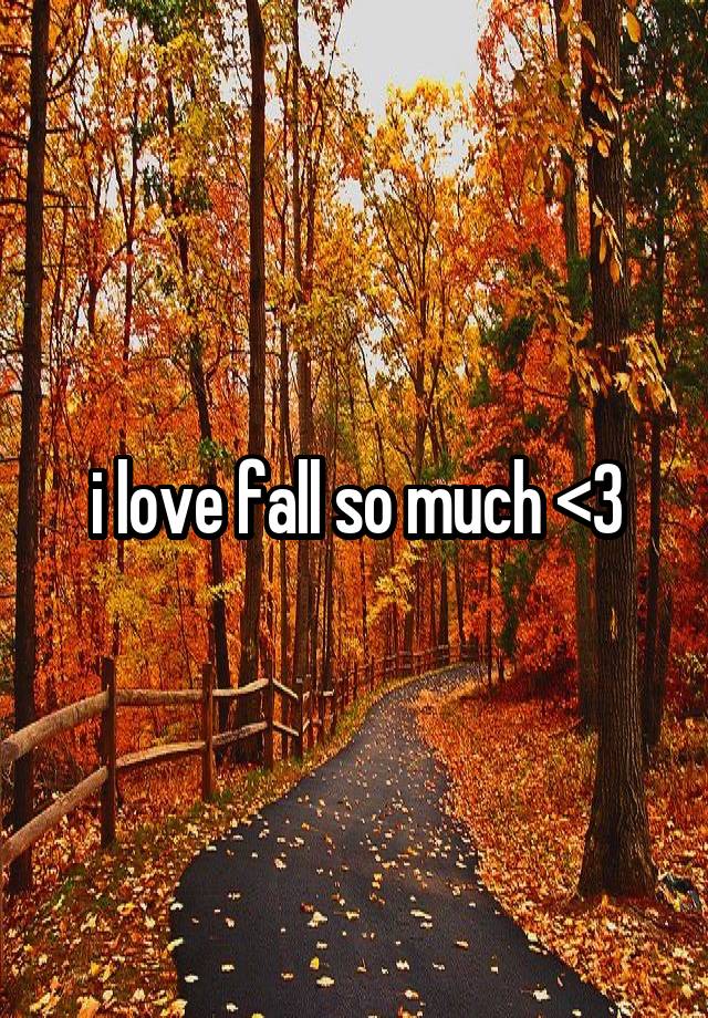 i love fall so much <3