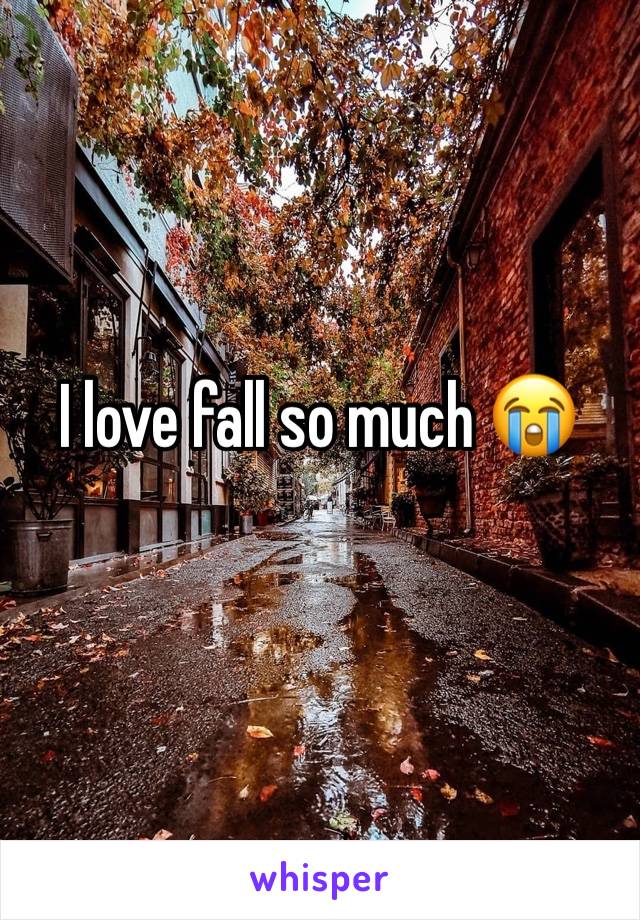 I love fall so much 😭