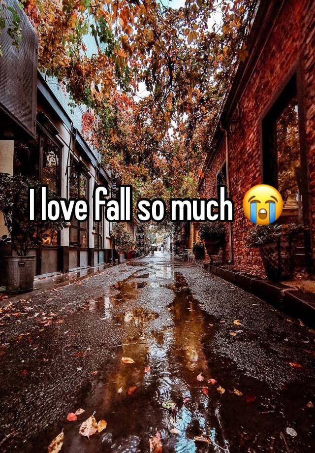 I love fall so much 😭