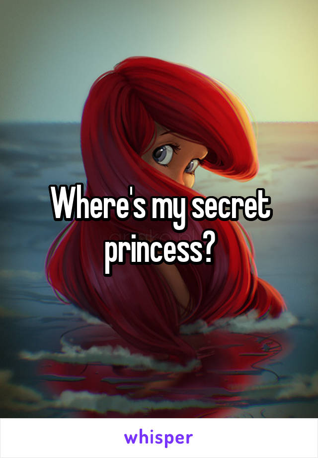 Where's my secret princess?