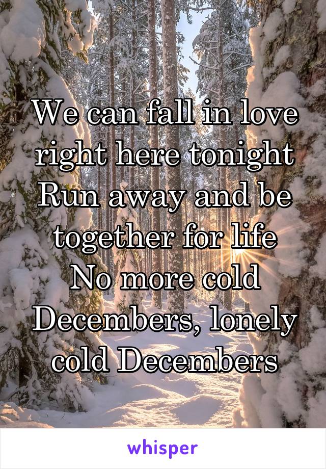 We can fall in love right here tonight
Run away and be together for life
No more cold Decembers, lonely cold Decembers