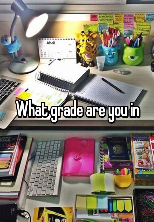 What grade are you in