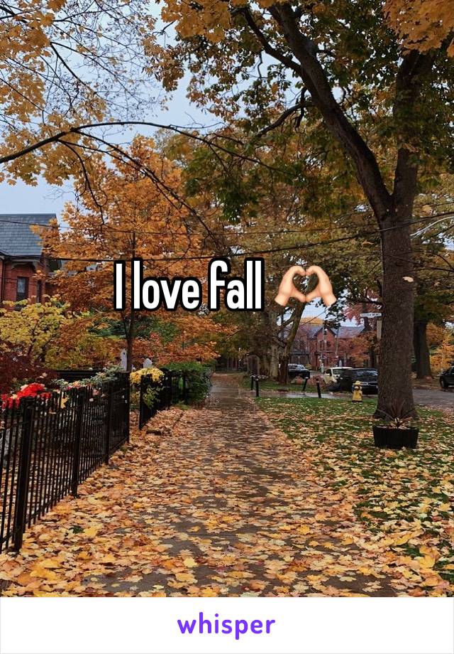 I love fall 🫶🏻