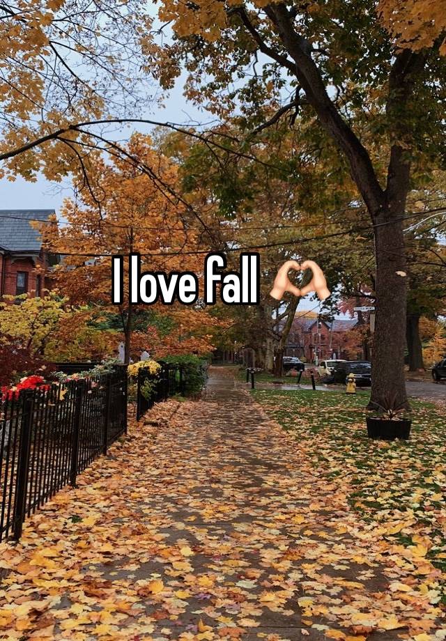 I love fall 🫶🏻