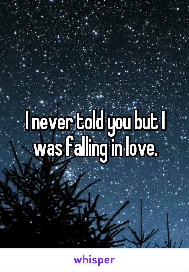 I never told you but I was falling in love.