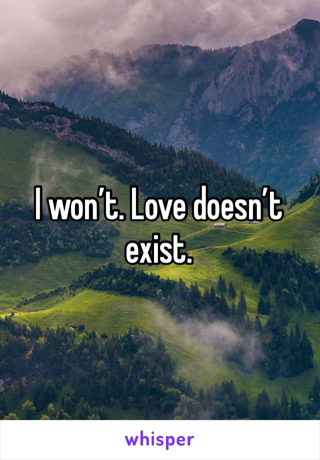 I won’t. Love doesn’t exist. 