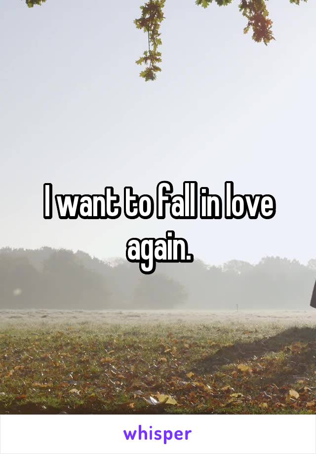 I want to fall in love again.