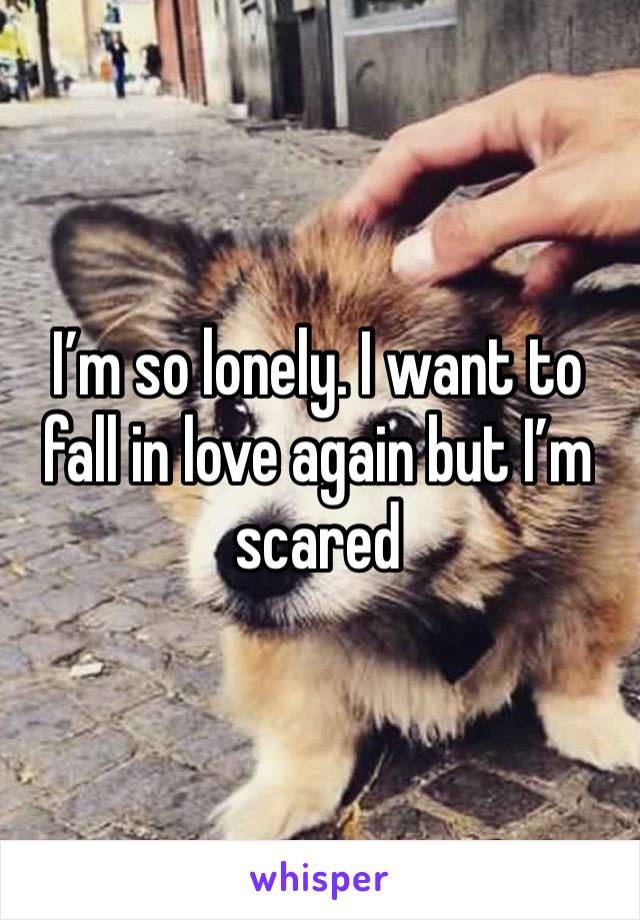 I’m so lonely. I want to fall in love again but I’m scared