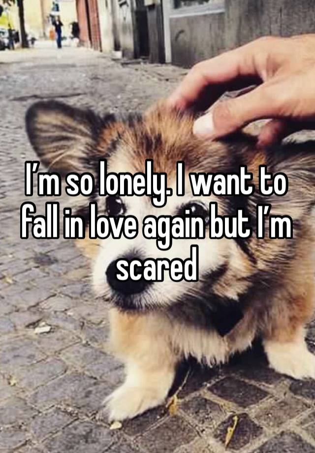 I’m so lonely. I want to fall in love again but I’m scared