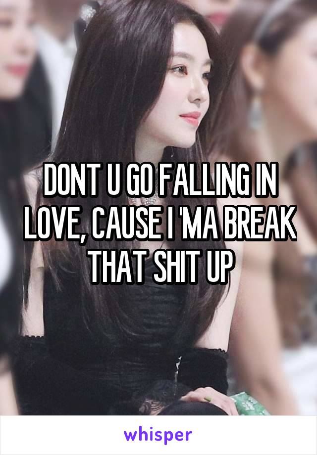 DONT U GO FALLING IN LOVE, CAUSE I 'MA BREAK THAT SHIT UP