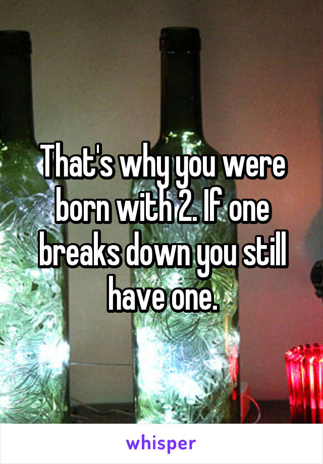 That's why you were born with 2. If one breaks down you still have one.