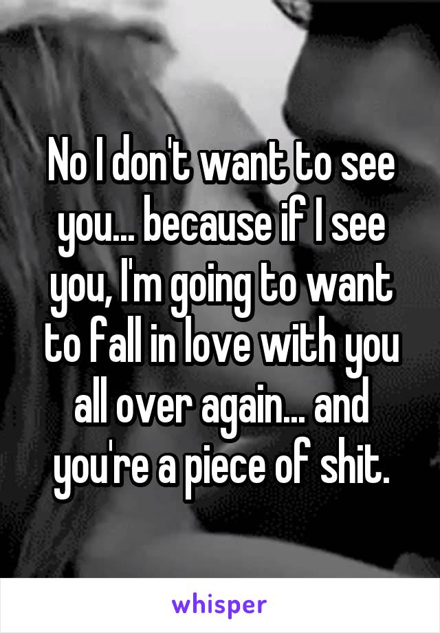 No I don't want to see you... because if I see you, I'm going to want to fall in love with you all over again... and you're a piece of shit.