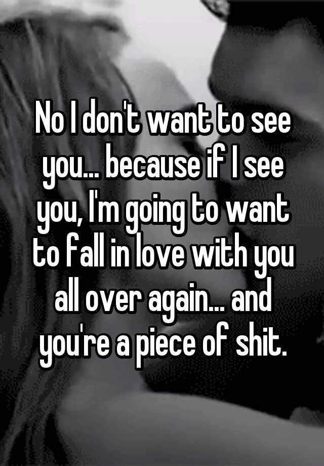 No I don't want to see you... because if I see you, I'm going to want to fall in love with you all over again... and you're a piece of shit.