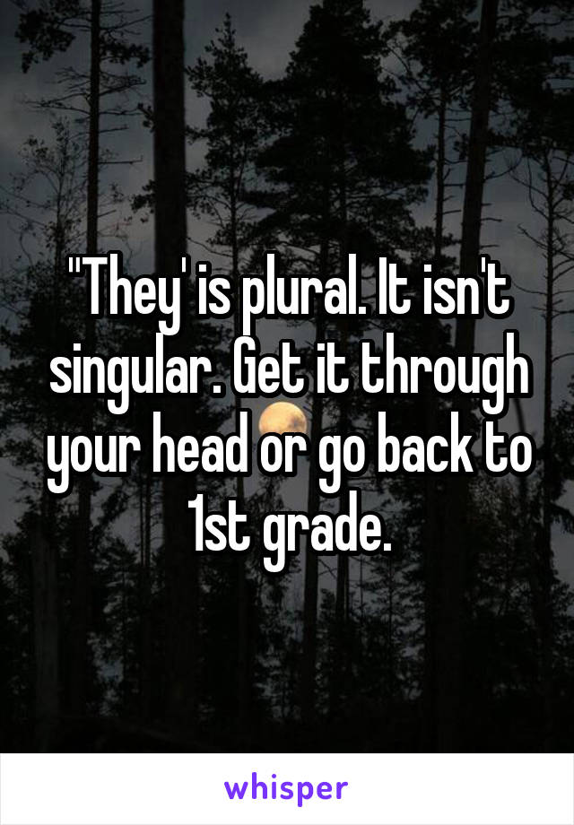 "They' is plural. It isn't singular. Get it through your head or go back to 1st grade.