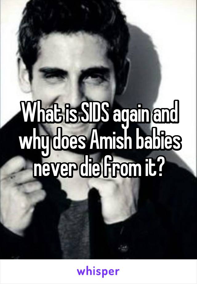 What is SIDS again and why does Amish babies never die from it?