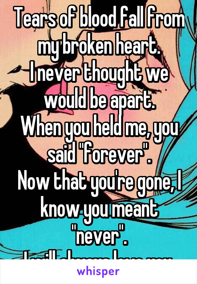 Tears of blood fall from my broken heart.
I never thought we would be apart.
When you held me, you said "forever".
Now that you're gone, I know you meant "never".
I will always love you.