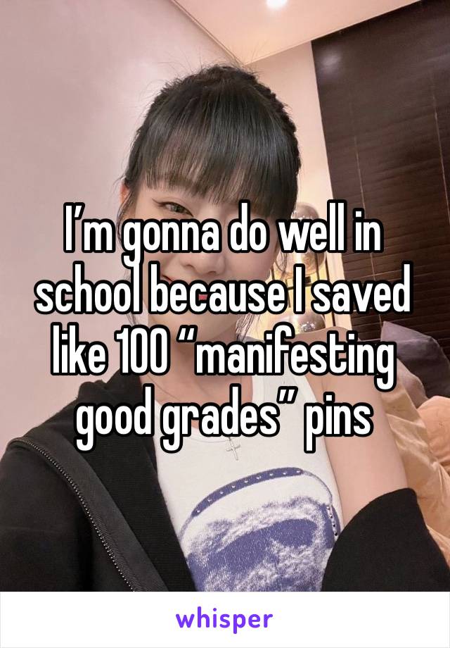 I’m gonna do well in school because I saved like 100 “manifesting good grades” pins 