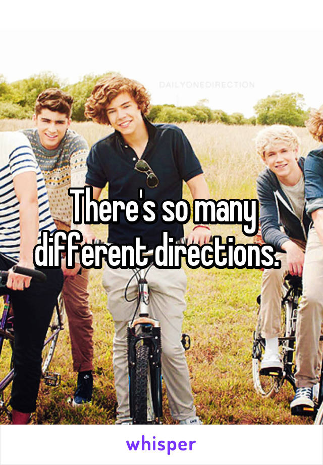 There's so many different directions.  