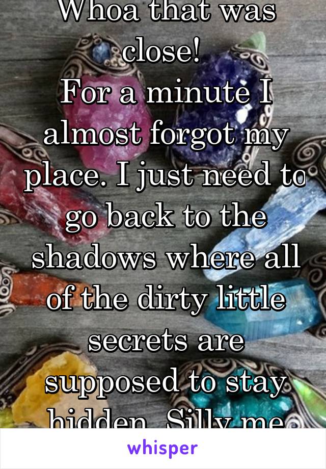 Whoa that was close! 
For a minute I almost forgot my place. I just need to go back to the shadows where all of the dirty little secrets are supposed to stay hidden. Silly me I'm such an idiot