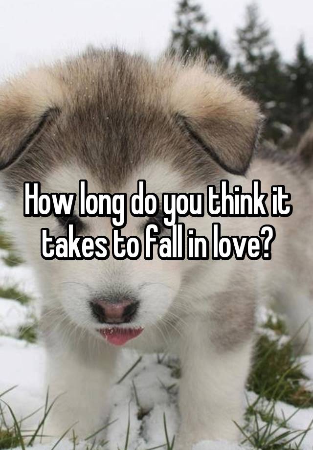 How long do you think it takes to fall in love?