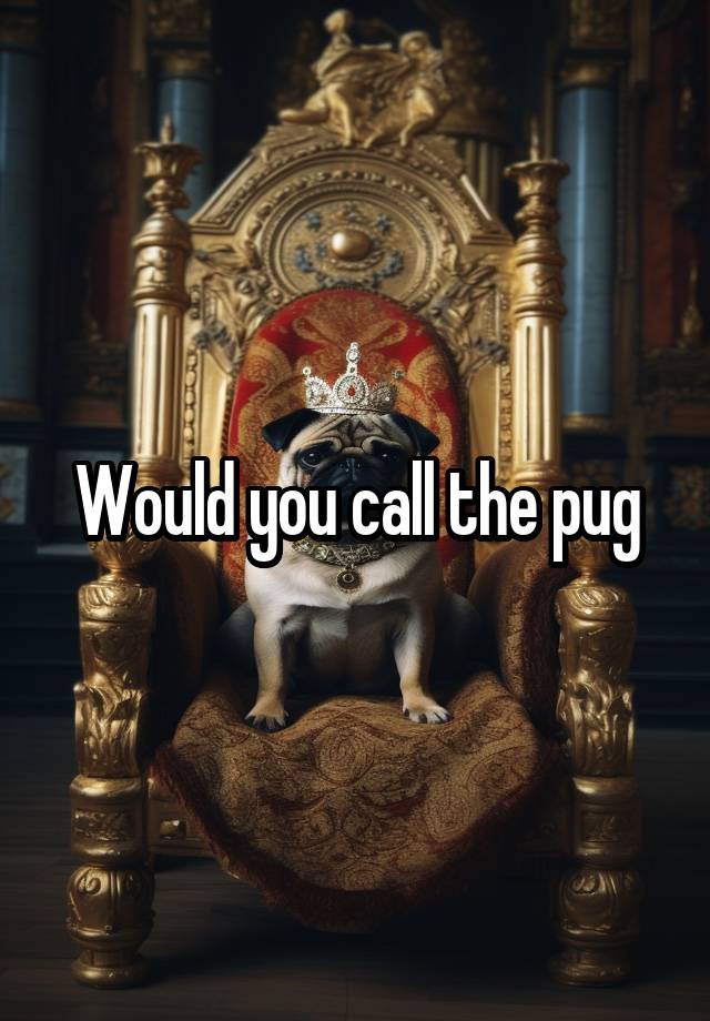 Would you call the pug