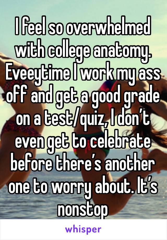 I feel so overwhelmed with college anatomy. Eveeytime I work my ass off and get a good grade on a test/quiz, I don’t even get to celebrate before there’s another one to worry about. It’s nonstop 