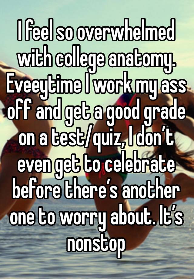 I feel so overwhelmed with college anatomy. Eveeytime I work my ass off and get a good grade on a test/quiz, I don’t even get to celebrate before there’s another one to worry about. It’s nonstop 