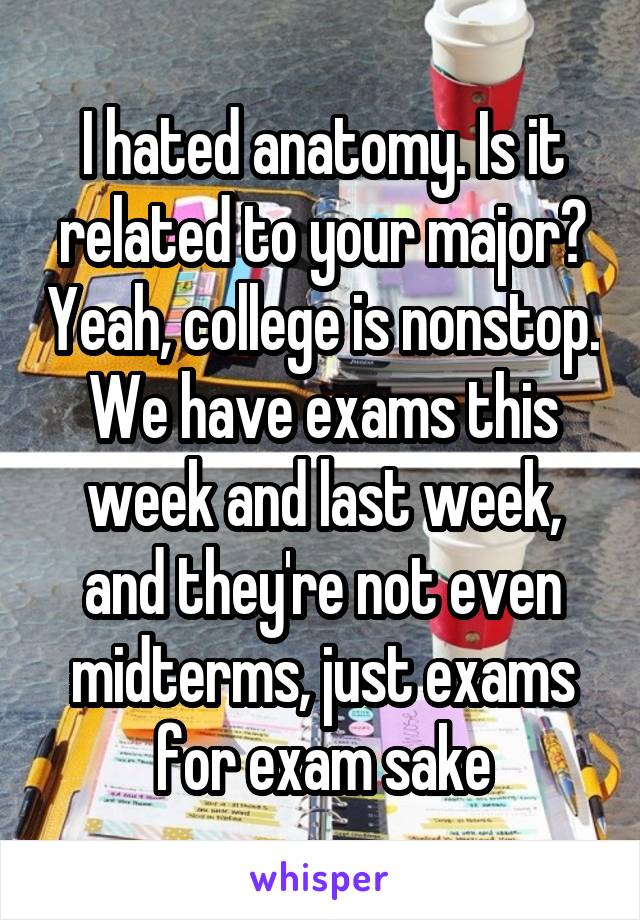 I hated anatomy. Is it related to your major? Yeah, college is nonstop. We have exams this week and last week, and they're not even midterms, just exams for exam sake