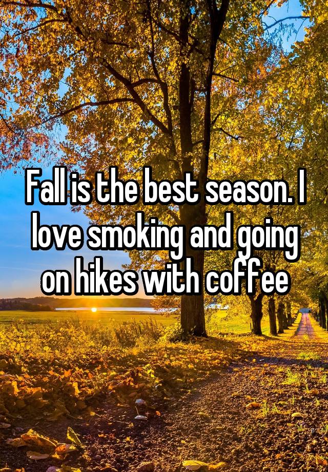 Fall is the best season. I love smoking and going on hikes with coffee