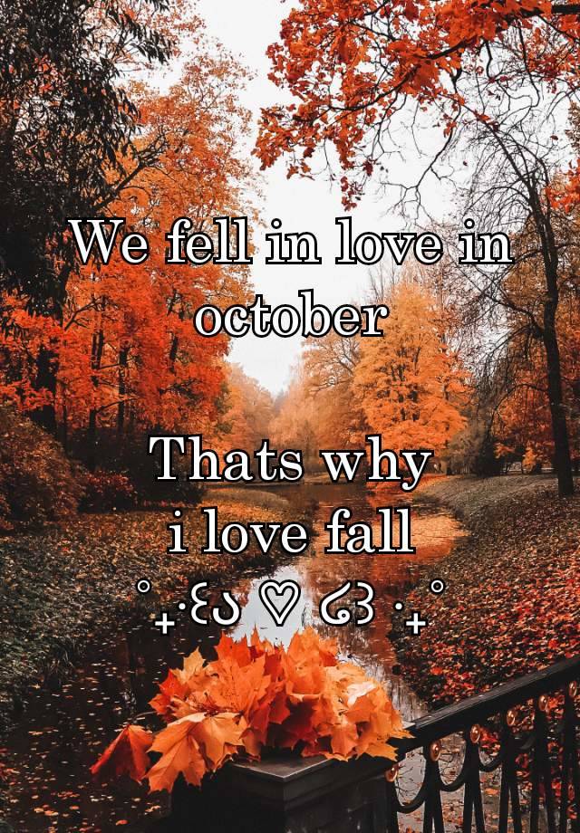 We fell in love in october

Thats why
i love fall
˚₊‧꒰ა ♡ ໒꒱ ‧₊˚