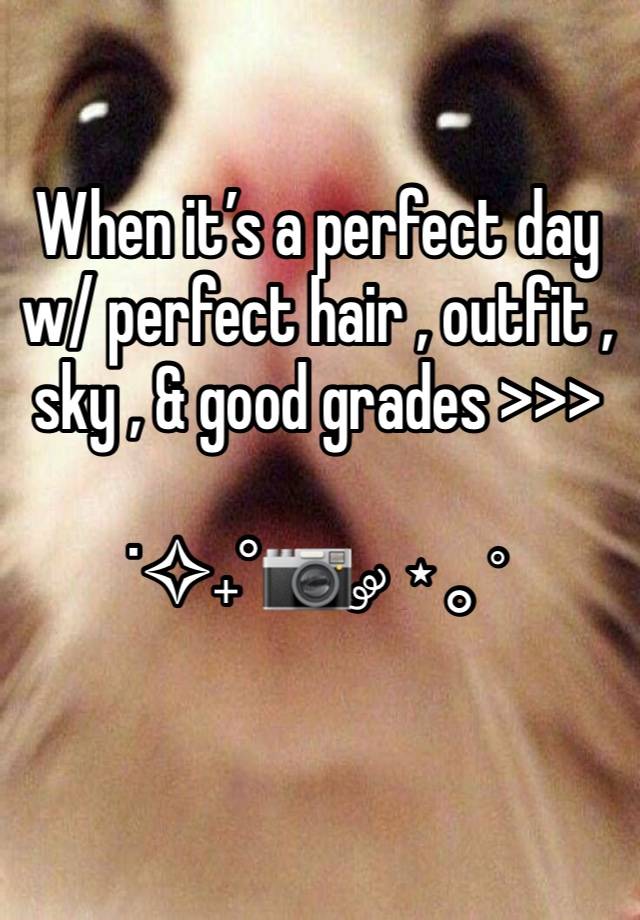 When it’s a perfect day w/ perfect hair , outfit , sky , & good grades >>> 

˙✧˖°📷 ༘ ⋆｡˚