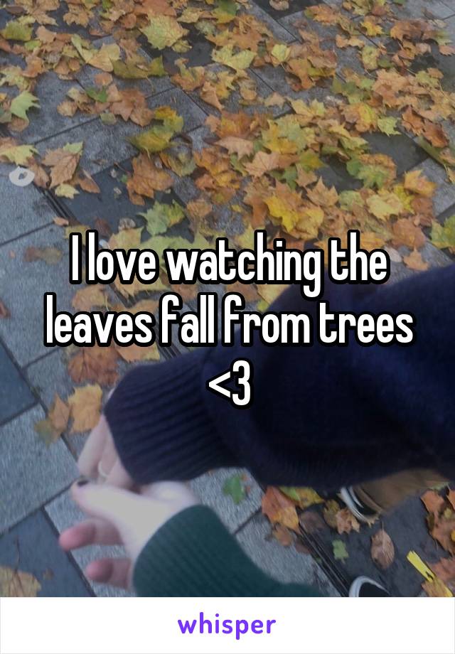 I love watching the leaves fall from trees <3