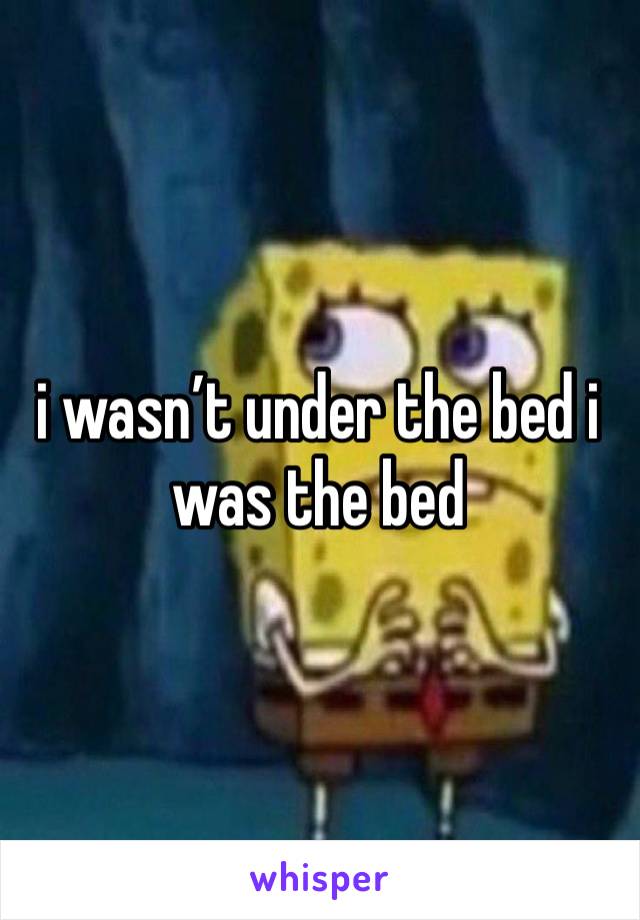 i wasn’t under the bed i was the bed