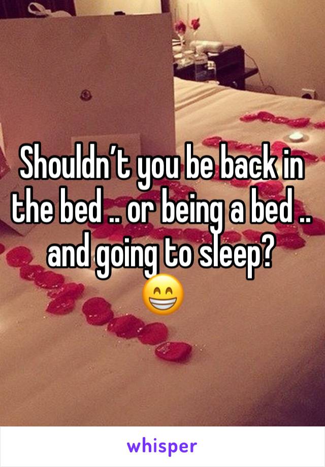 Shouldn’t you be back in the bed .. or being a bed .. and going to sleep?
😁