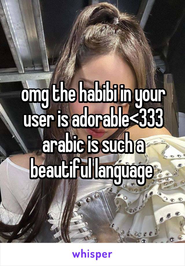 omg the habibi in your user is adorable<333 arabic is such a beautiful language 