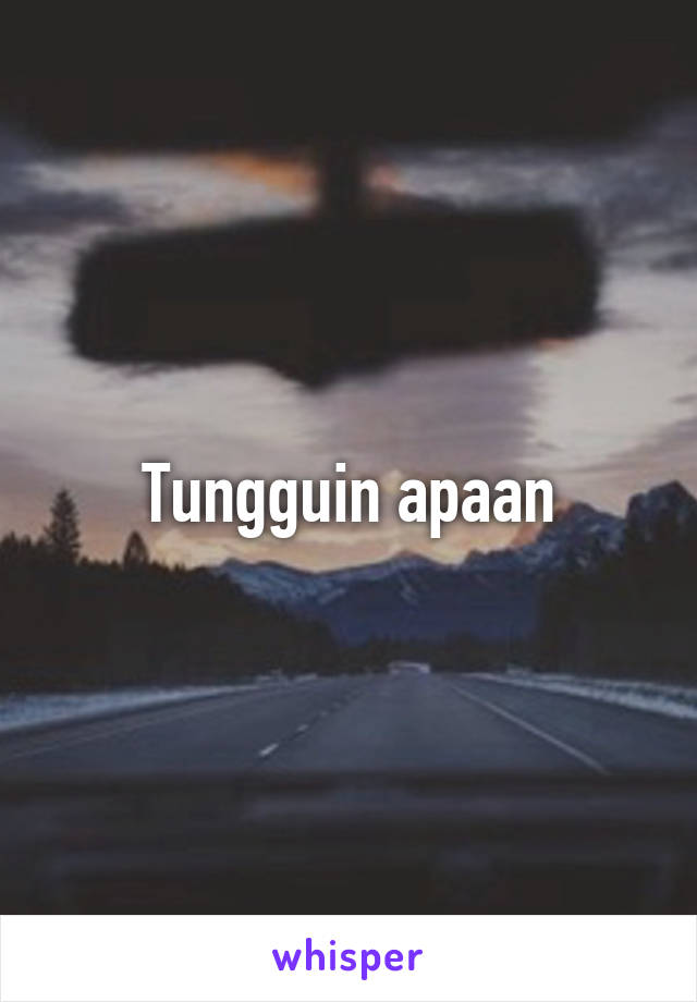 Tungguin apaan