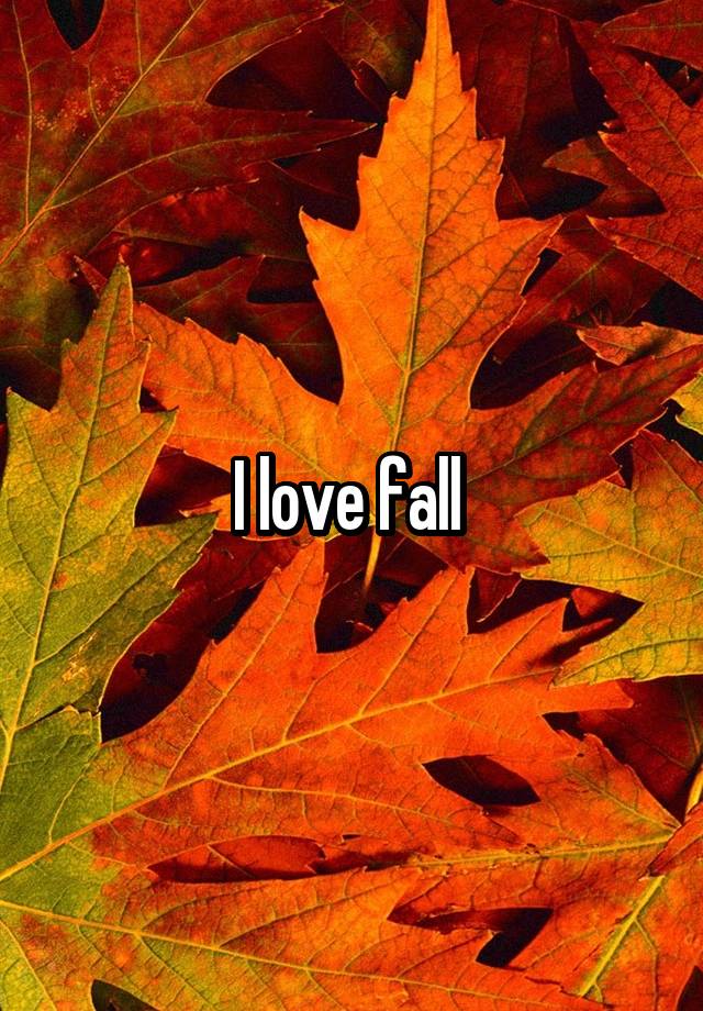 I love fall 