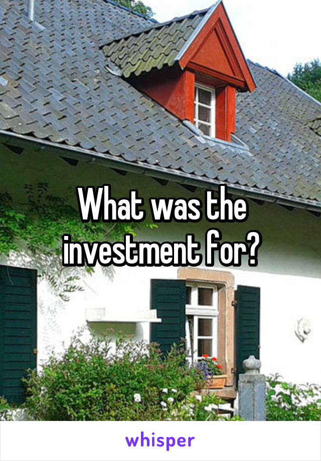 What was the investment for?