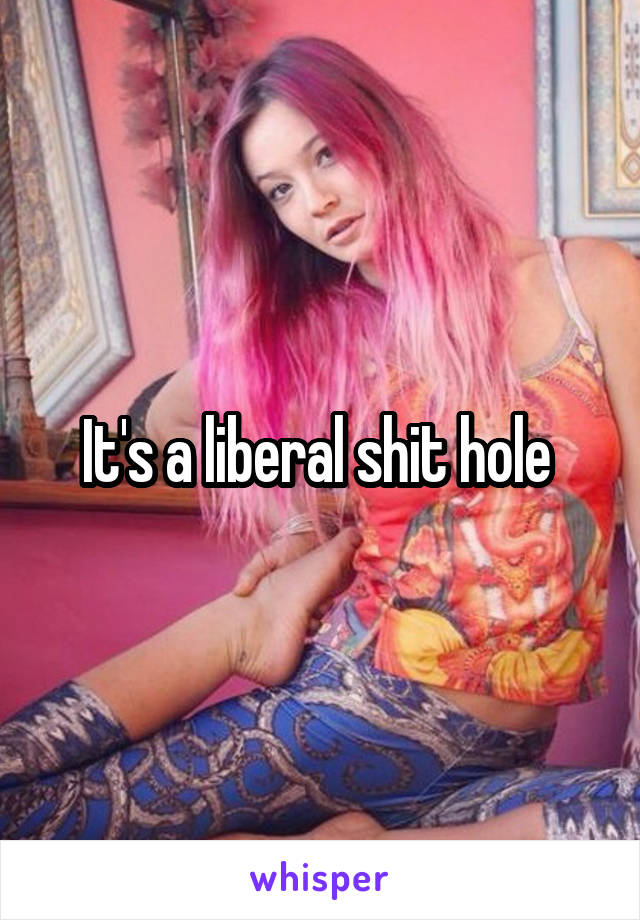 It's a liberal shit hole 