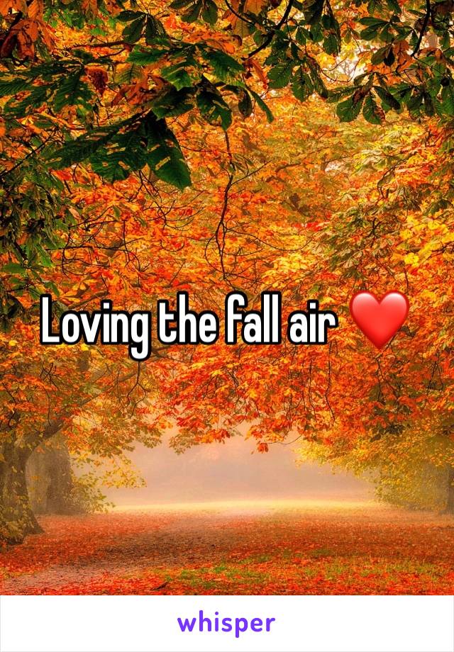 Loving the fall air ❤️