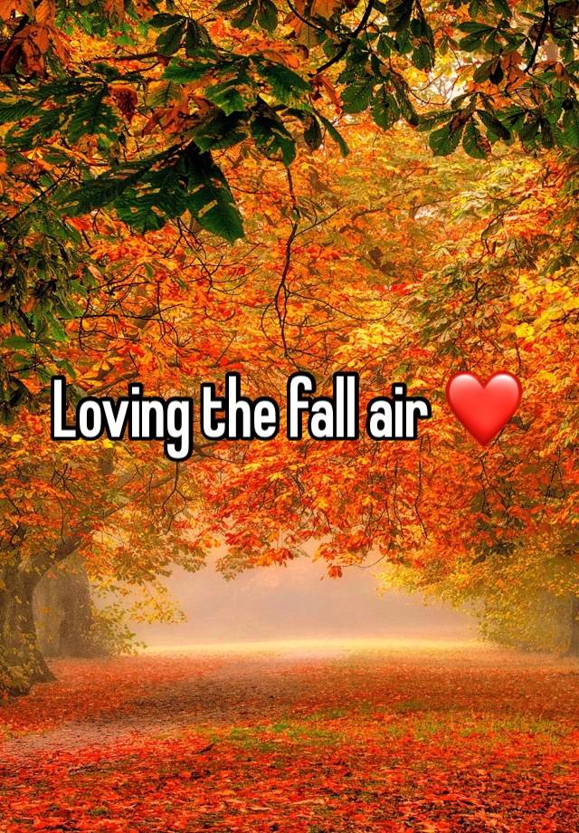 Loving the fall air ❤️