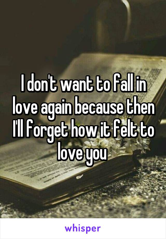 I don't want to fall in love again because then I'll forget how it felt to love you 