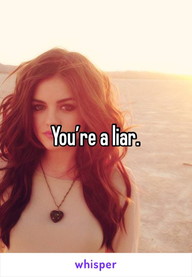 You’re a liar.