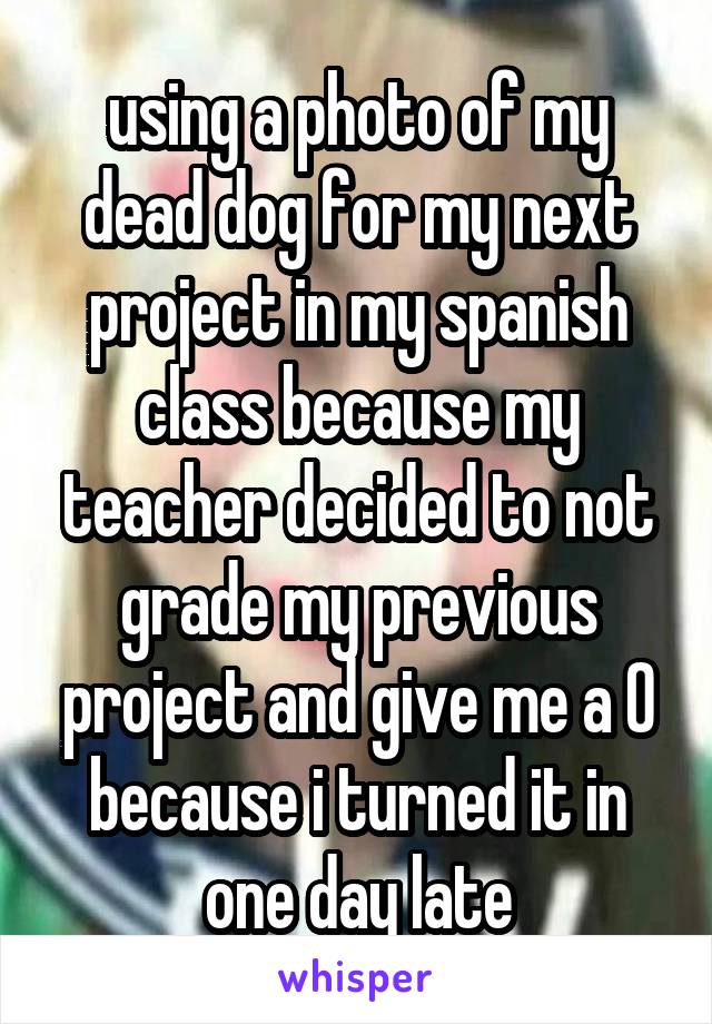 using a photo of my dead dog for my next project in my spanish class because my teacher decided to not grade my previous project and give me a 0 because i turned it in one day late